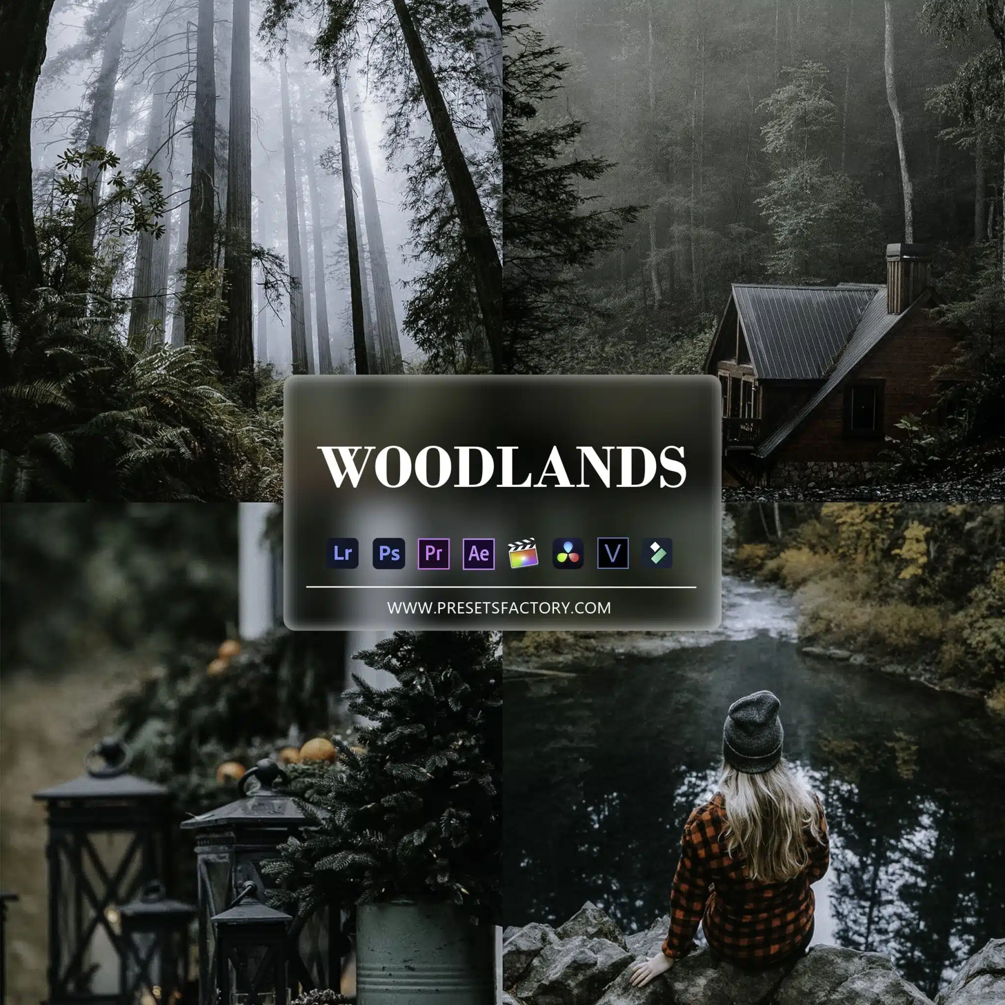 Dark Woodlands Presets collection