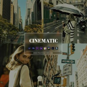 Cinematic Presets collection view