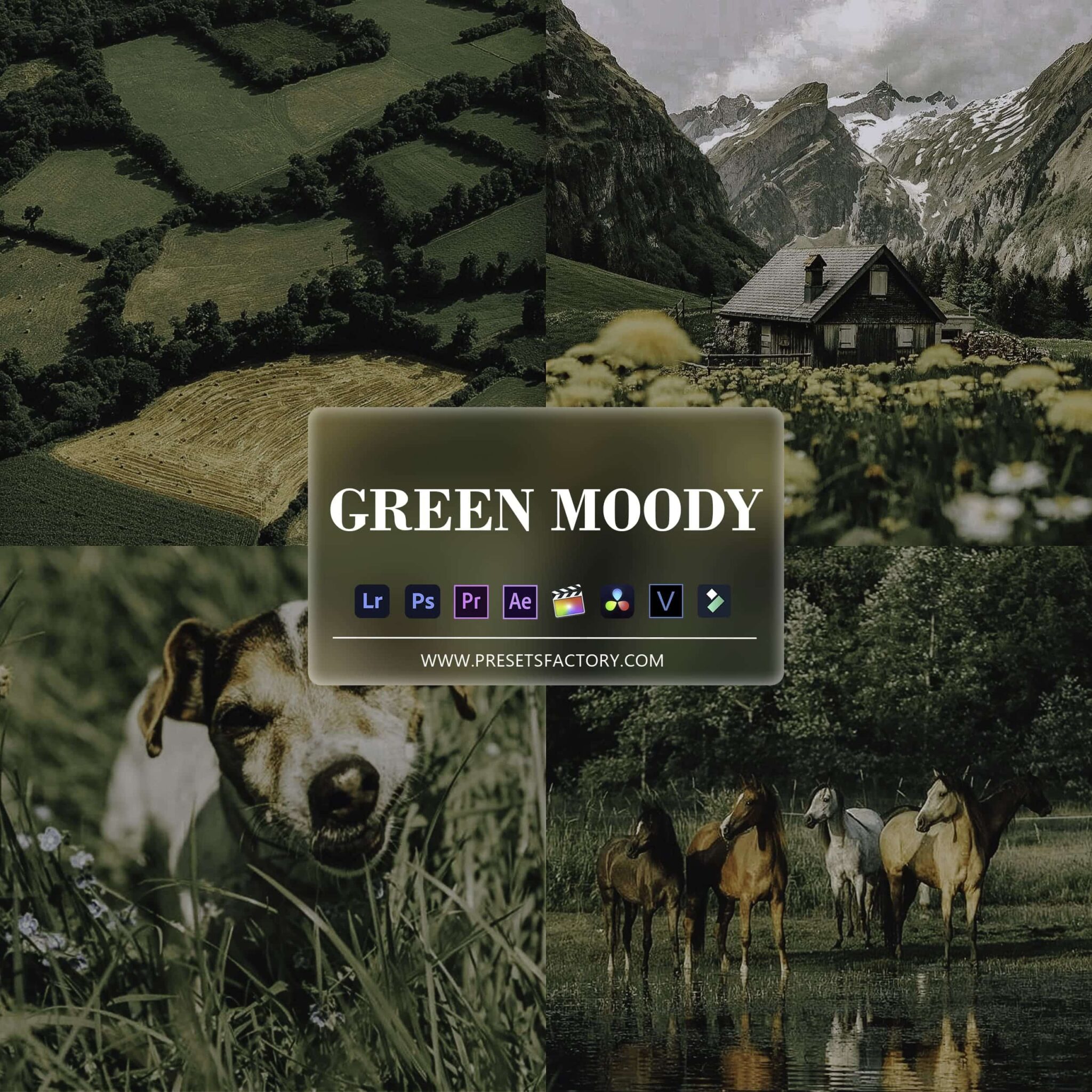 Green Moody Presets collection