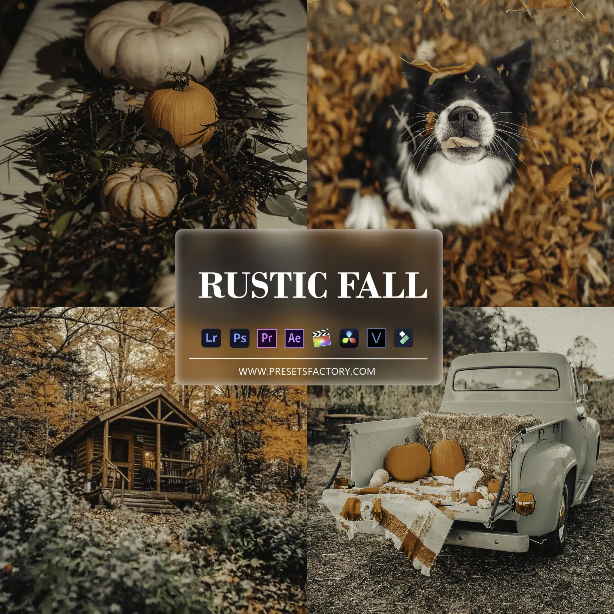 Amazing Rustic Fall Presets view