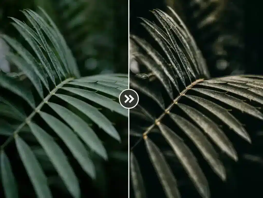 beautiful leaves cinematic presets